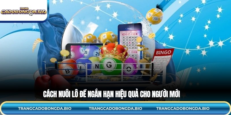 Cách nuôi lô đề ngắn hạn hiệu quả cho người mới